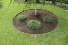 Load image into Gallery viewer, Core Edge Pre-Rolled Steel Garden / Tree Rings Shown in Brown Used as Tree Ring- Edge It Co by Henderson Supply