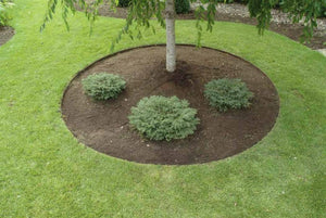 Core Edge Pre-Rolled Steel Garden / Tree Rings Shown in Brown Used as Tree Ring- Edge It Co by Henderson Supply